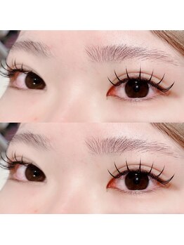 ルピナス(Lupinus)/フラットラッシュ束感仕上げ☆