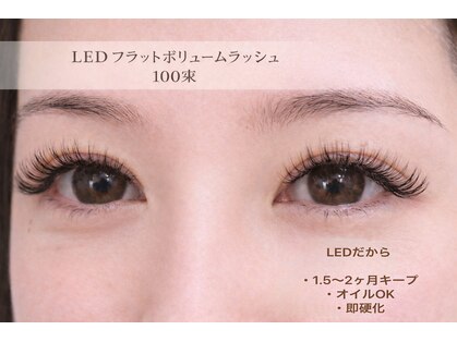 チック(chick)の写真