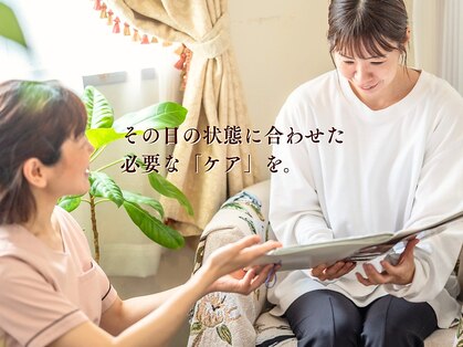 シーズの写真