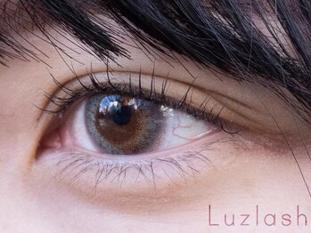 ルースラッシュ 秋葉原店(Luzlash)の写真/【話題のパリジェンヌラッシュリフト導入店♪】大人女性を目指すならナチュラルで上品な目元に決まり★