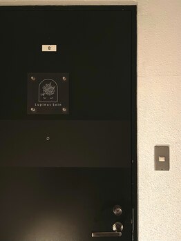 ルピナス(Lupinus)/