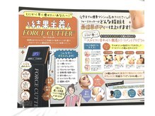 リアン(Liens)/フォースカッター痩身