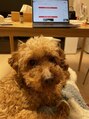 エクシアホワイトニング 札幌中島公園店 昔から犬と生活していますが３匹との生活は初めてです(°▽°)
