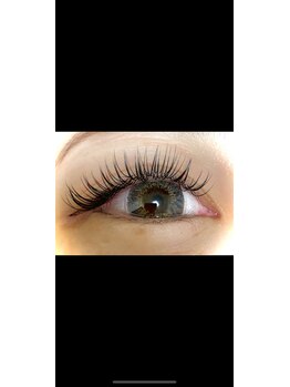 モデスト(Modest)/フラットラッシュ160本