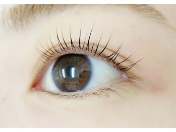 ベル(Belle)/まつ毛パーマ☆ラッシュリフト