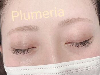 プルメリア(Plumeria)の写真/お顔の印象は眉毛で決まる！最新のWax脱毛技術で似合わせ・ふんわりアイブロウも◎[新規]美眉WAX¥4000