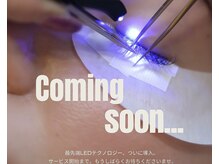  LEDエクステ1月開始！1月中導入キャンペーン♪♪