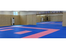 タクミスポーツホール(TAKUMIスポーツホール)の雰囲気（【スポーツホール内】鏡がついていて、マットが敷いてあります。）
