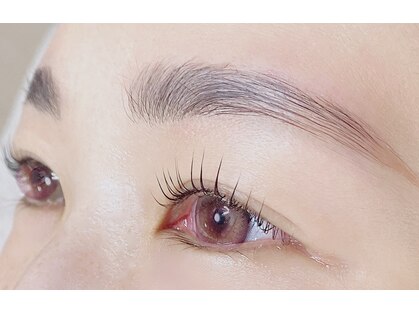 リス(Lys)の写真