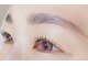 リス(Lys)の写真