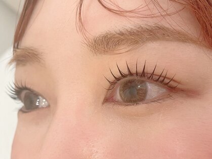 シェリー プラス(Cherie..+)の写真