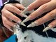 キラ キラ オメメの写真/自爪・形にコンプレックスがある方に◎Gel-xアプレ☆ワンカラー/グラデ/ラメグラ☆オフ込¥8,600