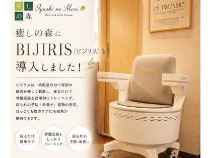 癒しの森の写真