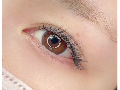リコア(ricoa)の写真