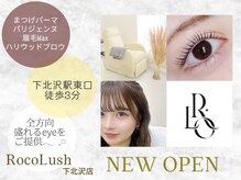 ロコラッシュ 下北沢店