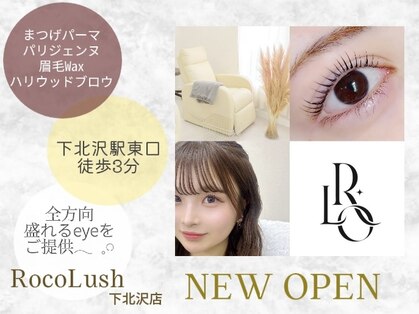 ロコラッシュ 下北沢店の写真