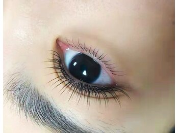 サロンドルネ(Salon De Rene)/選べるワンホンデザイン