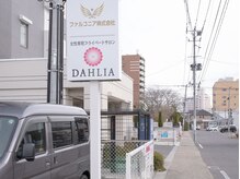 ダリア(DAHLIA)/