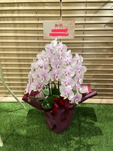 ラーク(Raak)/ありがとうございます♪