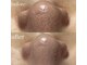 薫風の写真