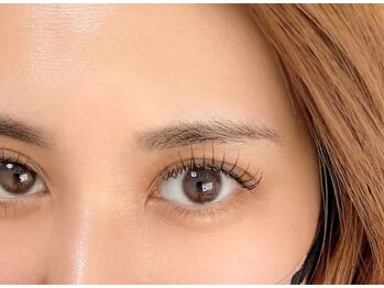 シャルコット(shall cocotte。)/新メニューフラットラッシュ