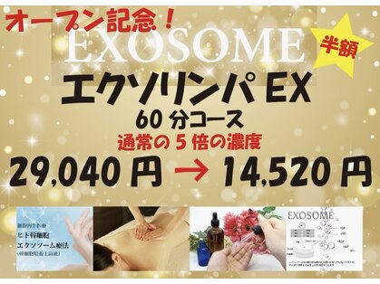 ヒトトキ(hitotoki)の写真