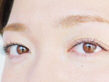 ブレス バイ アンベリール(BLESS by Ambellir)/フラットorセーブル上両目140本