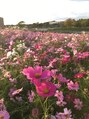 トミー(TOMIi)&nbsp;花や植物、自然も好きです☆旅行も年に2回程行きます！
