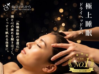 仙豆のちから 心斎橋店