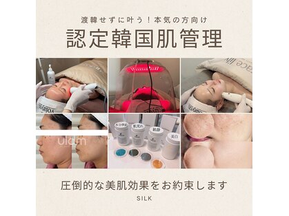 シルク(Silk)の写真