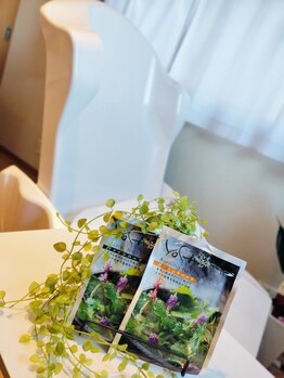 ヨサパーク ハーブ 温 東花園(YOSA PARK Herb 温)/