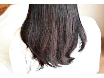 アースビューティー(EARTH BEAUTY)/ヘナカラー