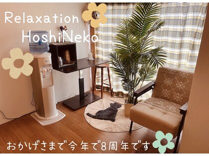 ほしねこの写真