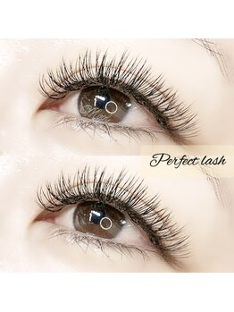 モールアイラッシュ(MOOL eyelash)/特許技術perfectlash