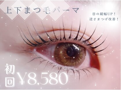 ミモザ シンサイバシ(Mimosa shinsaibashi)の写真
