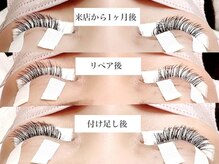 エーワイラッシュ 藤沢店(AYLASH)