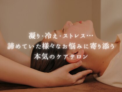 デイジー(Daisy)の写真