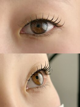 ムニ(muni)/LEDフラットラッシュ100本