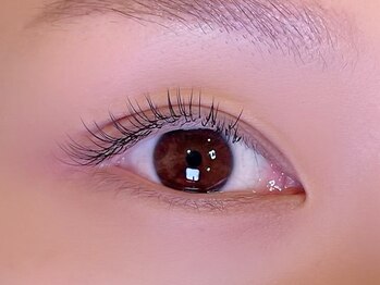 シル シェノン(cil shenon)/フラットラッシュ100本