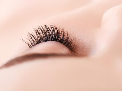 セレッソ(cerezo)の写真