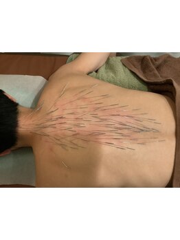 豊富な専門知識でアドバイス