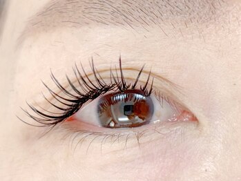 ウィキラ(WIKIRA)/フラットラッシュ