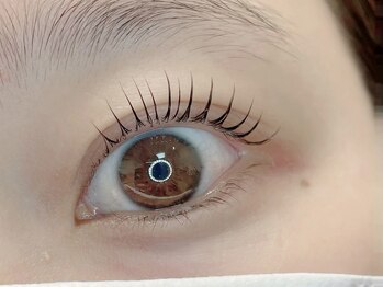 シロ(SIRO)/まつ毛パーマ