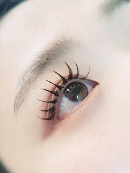 セレビアイ 立川店/マツエク/LED/ledエクステ/立川