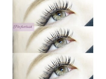 モールアイラッシュ(MOOL eyelash)/特許技術perfectlash