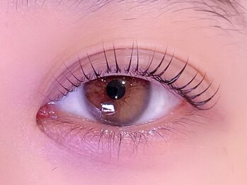 シル シェノン(cil shenon)/