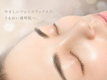 ビジュネ(Bijounet)の写真