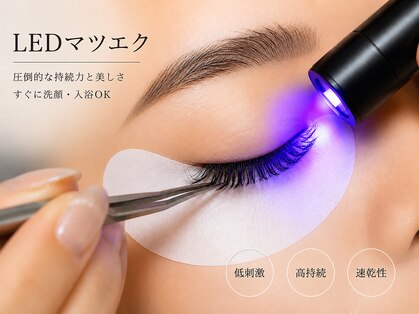 エクシア(EXIA)の写真