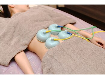 プラチナアース つくば店(Platinum earth)/EMSコース