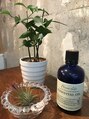 ニヒロ 戸越銀座店(nihilo) エアプランツとかアロマとかオサレなものが好きです！